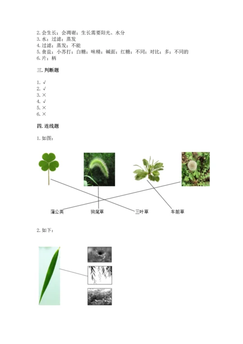 教科版科学一年级上册第一单元《植物》测试卷精品（夺冠系列）.docx