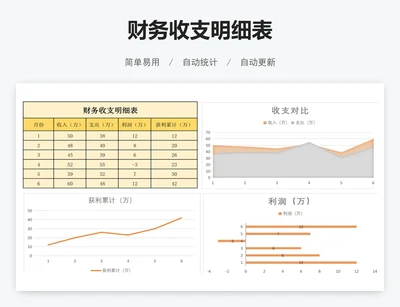 财务收支明细表