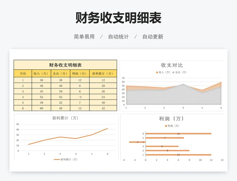 财务收支明细表