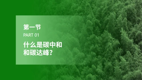 碳达峰碳中和低炭经济环境保护通用PPT模板