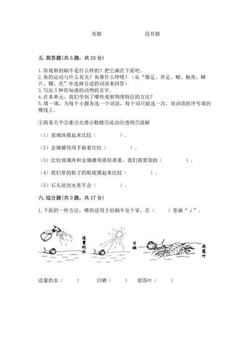 教科版一年级下册科学期末测试卷附答案（巩固）.docx