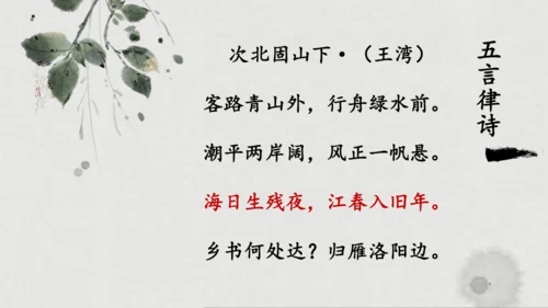 第六单元 课外古诗词诵读 过松源晨炊漆公店（其五）课件