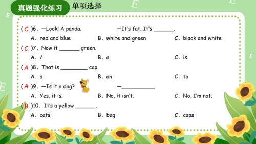 Module 4（复习课件）-2023-2024学年三年级英语上册期末核心考点集训（外研版三起）（共