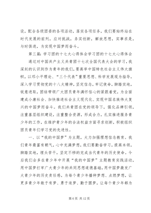 学习团十七大精神的心得体会.docx