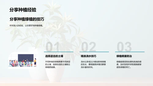 绿植种植入门指南