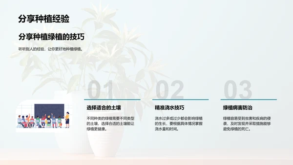 绿植种植入门指南