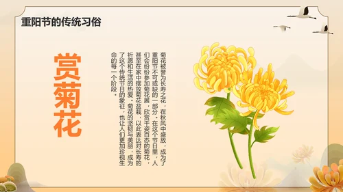 橙色手绘风重阳节 孝亲敬老 从我做起PPT模板