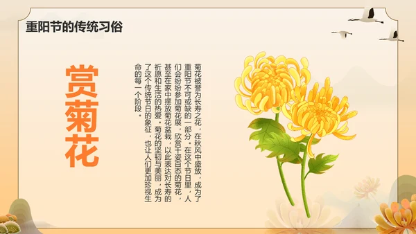 橙色手绘风重阳节 孝亲敬老 从我做起PPT模板