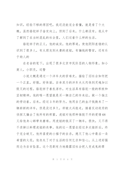 骆驼祥子优秀初中生读书心得2022年.docx