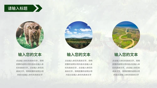 青年在家乡建设中的使命工作汇报PPT模板
