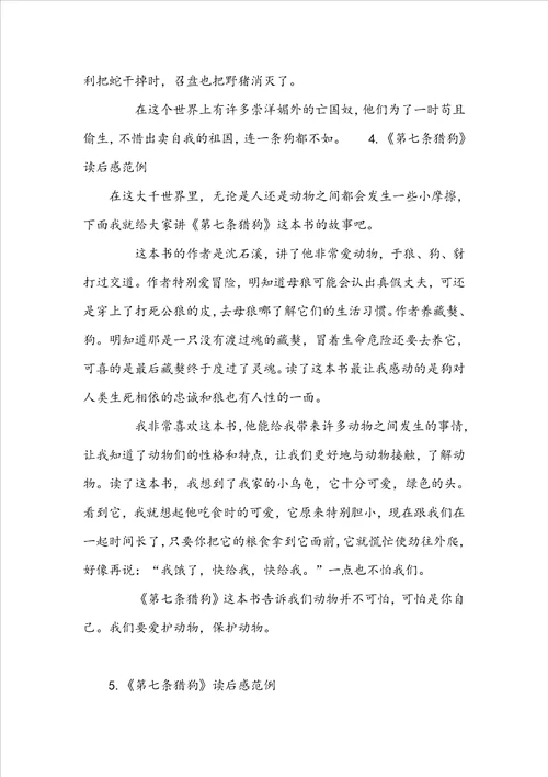 第七条猎狗读后感范文
