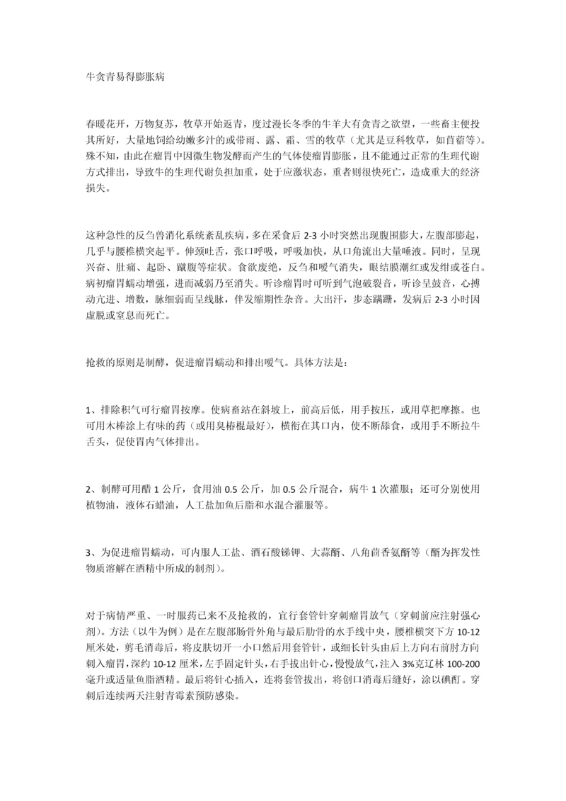 牛贪青易得膨胀病.docx