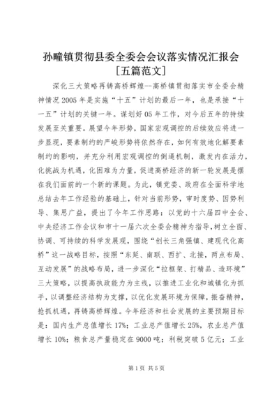 孙疃镇贯彻县委全委会会议落实情况汇报会[五篇范文] (3).docx