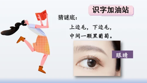 【同步课件】部编版语文三年级上册  语文园地八（2课时）