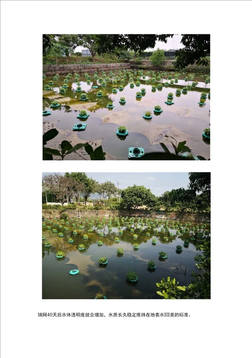石墨烯水生态网，创新打破污水治理新格局