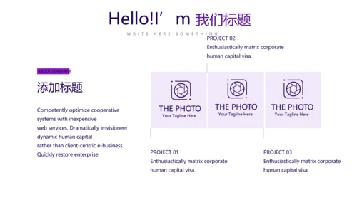 紫色财产保险金融理财工作总结PPT