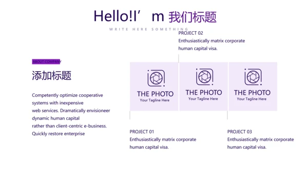 紫色财产保险金融理财工作总结PPT