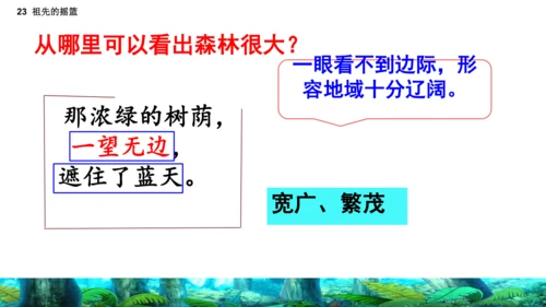 23祖先的摇篮（课件）