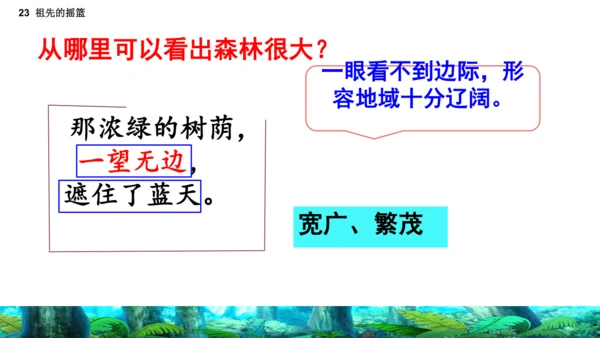 23祖先的摇篮（课件）