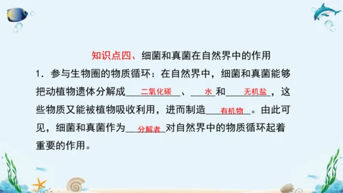 人教版八年级生物上册5.4《细菌和真菌》复习课件（含31张ppt）