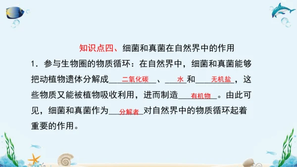 人教版八年级生物上册5.4《细菌和真菌》复习课件（含31张ppt）