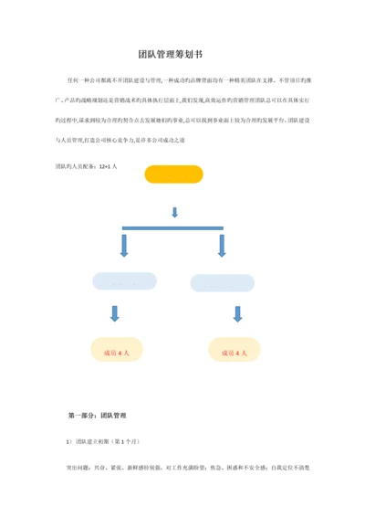 团队管理计划书.docx