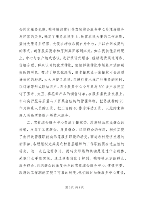 关于X镇农牧综合服务中心建设有关情况的调查.docx