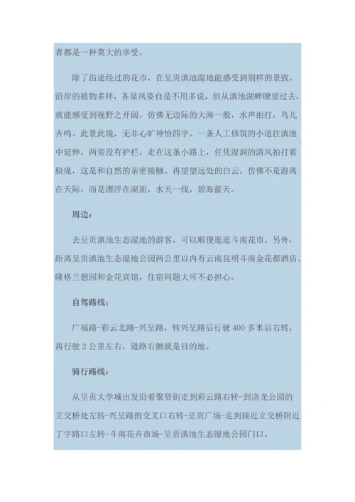 昆明湿地公园.docx