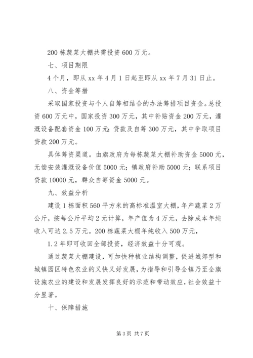 蔬菜大棚项目建设可行性报告 (6).docx