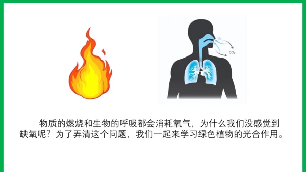 3.5.1 光合作用吸收二氧化碳释放氧气2023-2024学年七年级生物上册精品教学课件（人教版）(