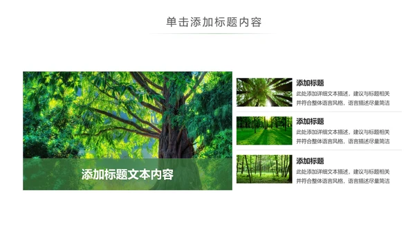 绿色环保森林湿地森林日植树造林动态PPT模