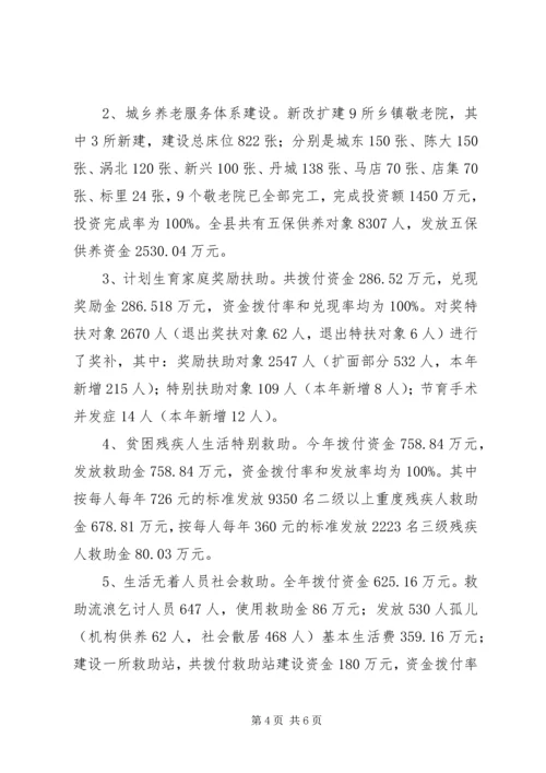 乡镇民生工程工作总结.docx