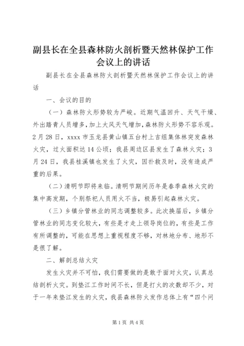 副县长在全县森林防火剖析暨天然林保护工作会议上的讲话.docx