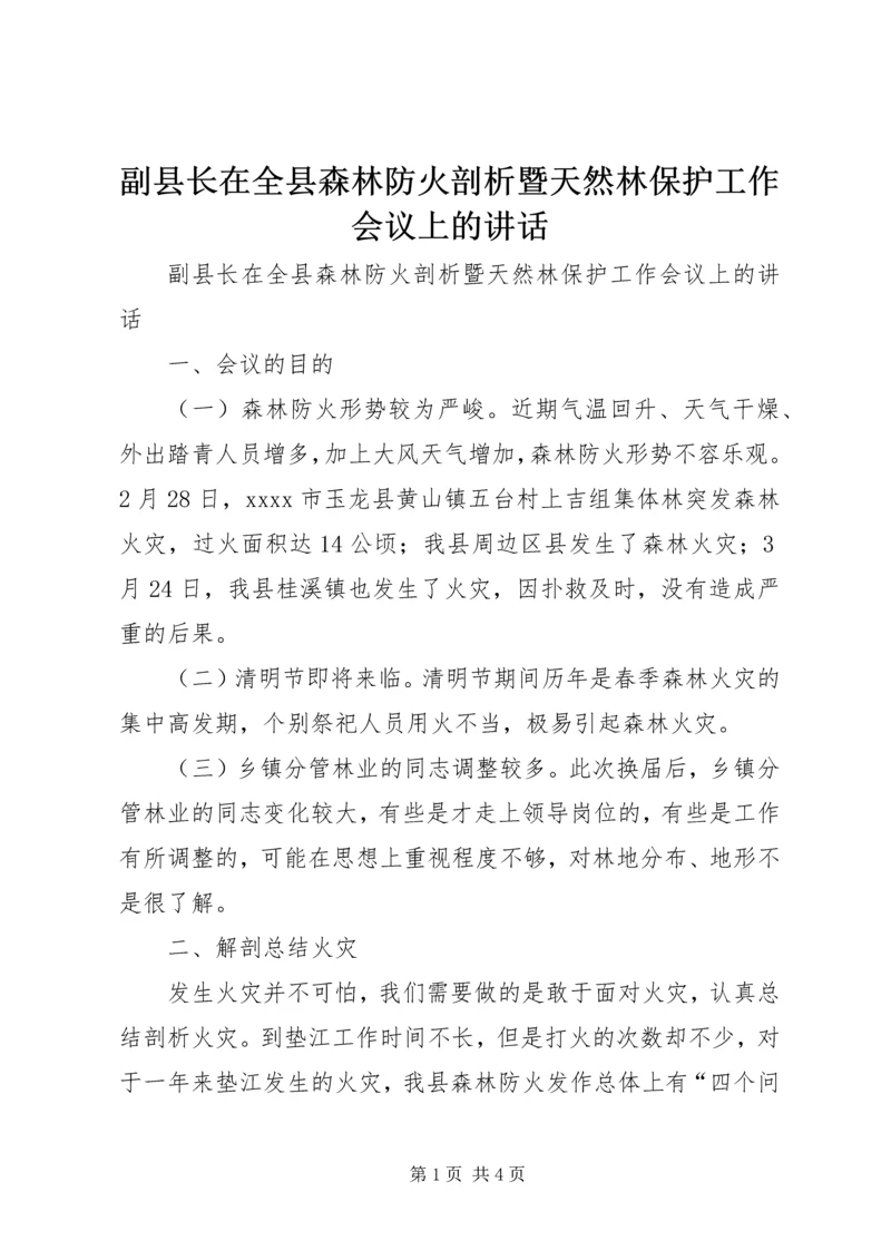 副县长在全县森林防火剖析暨天然林保护工作会议上的讲话.docx