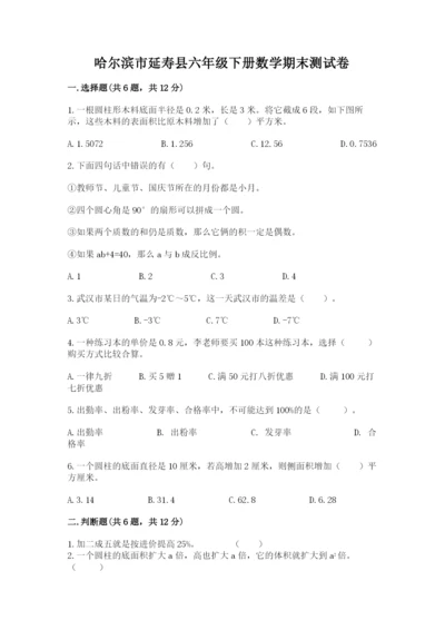 哈尔滨市延寿县六年级下册数学期末测试卷最新.docx