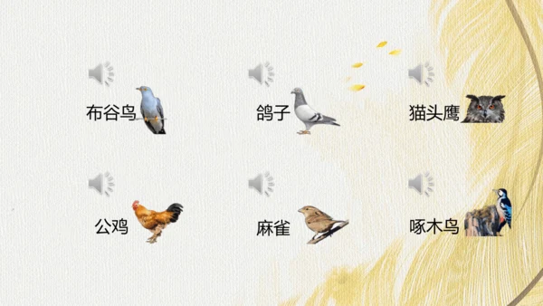 人教版 初中生物七年级上册2.2.2脊椎动物（鸟和哺乳动物）课件(共24张PPT)+ 视频素材