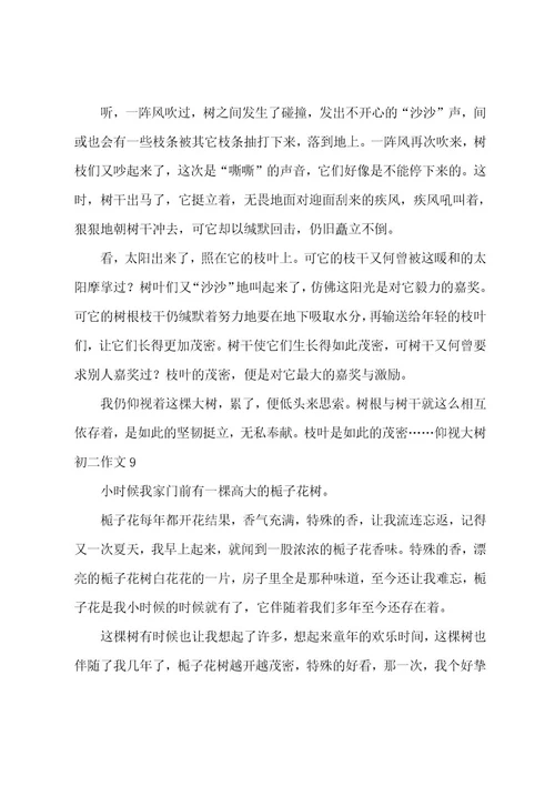 仰望大树初二作文