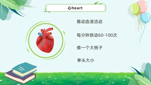 绿色小清新淡雅简约身体器官知多少幼儿园医学科普课件PPT