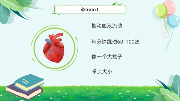 绿色小清新淡雅简约身体器官知多少幼儿园医学科普课件PPT