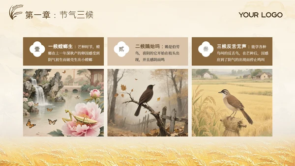 黄色古风中国传统文化二十四节气芒种课堂科普PPT模板