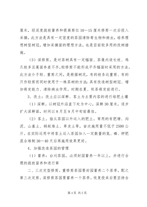 茶园改造实施方案 (2).docx