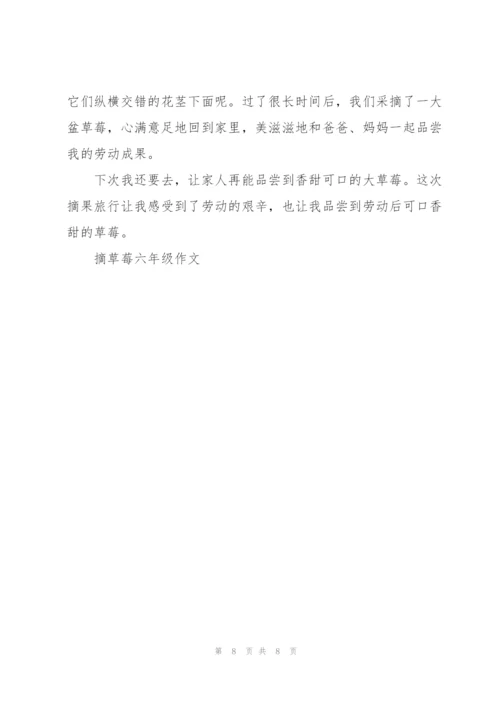 摘草莓六年级作文10篇.docx