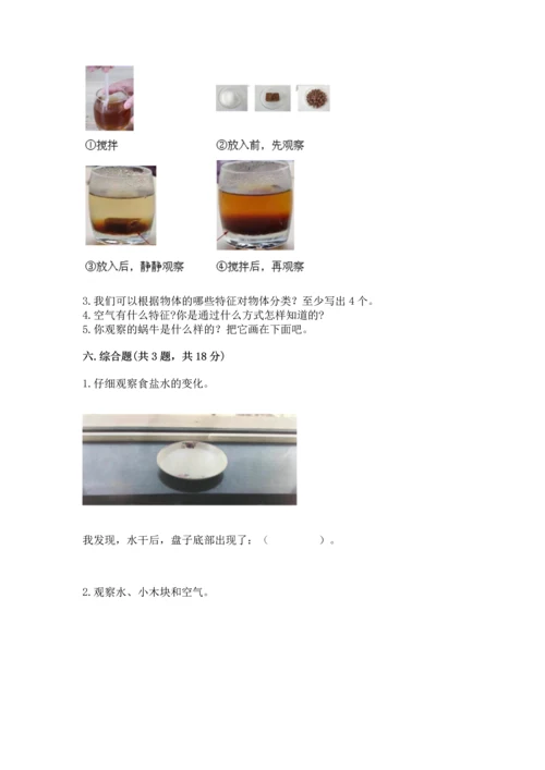 教科版一年级下册科学期末测试卷及完整答案.docx