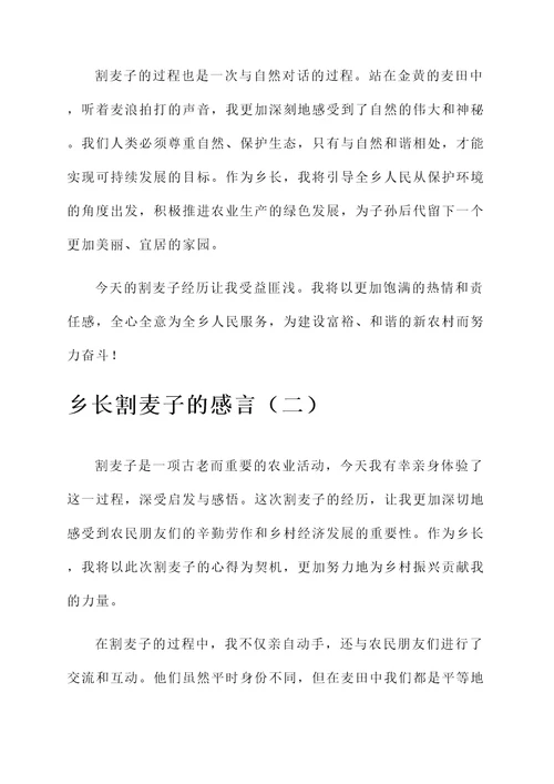 乡长割麦子的感言