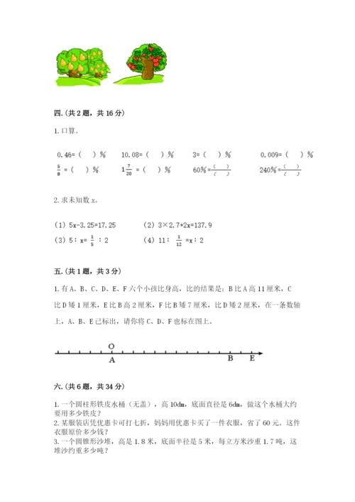 苏教版六年级数学小升初试卷及完整答案【网校专用】.docx