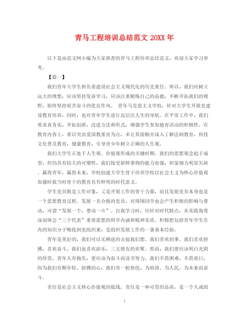 精编之青马工程培训总结范文.docx