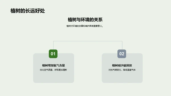 种树美化环境