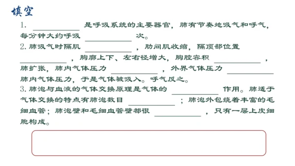 人教版（新课程标准）七年级下册4.3.2 发生在肺内的气体交换课件(共20张PPT)