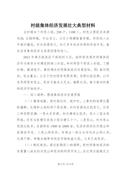 村级集体经济发展壮大典型材料.docx
