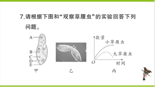 【掌控课堂-创优作业】人教版生物七(上)第二单元 第二章 细胞怎样构成生物体总结训练 (课件版)